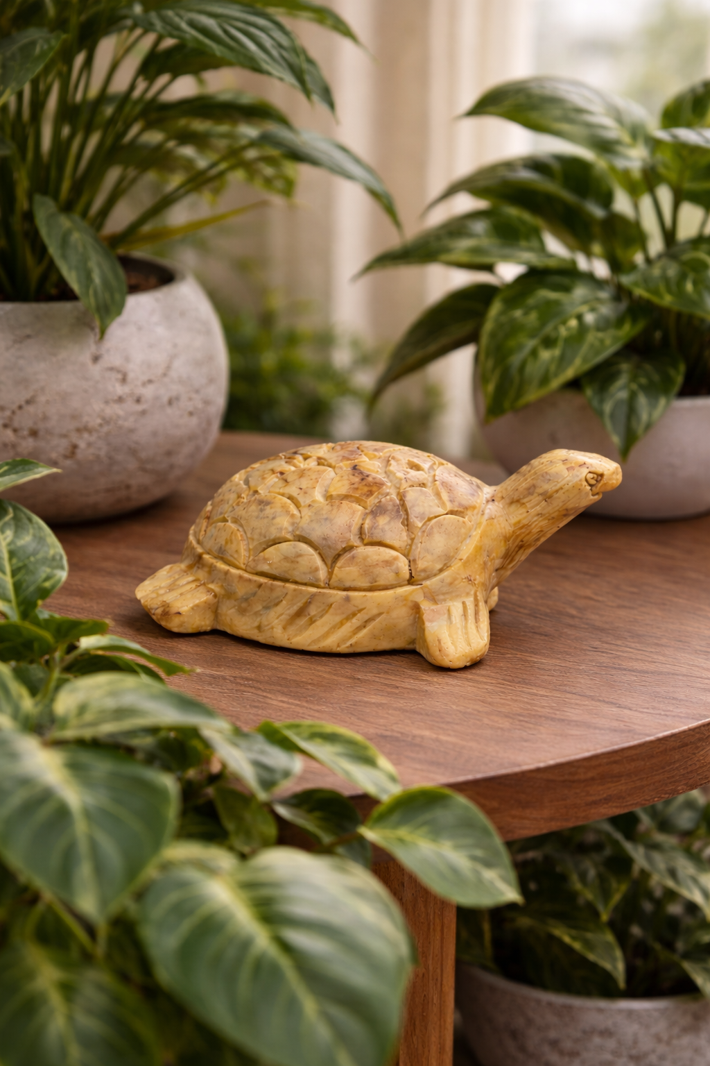 Polished soapstone turtle sculpture styled on console table with Indore plants