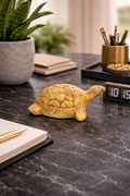 Polished soapstone turtle sculpture displayed on desk with stationery and plant in home office