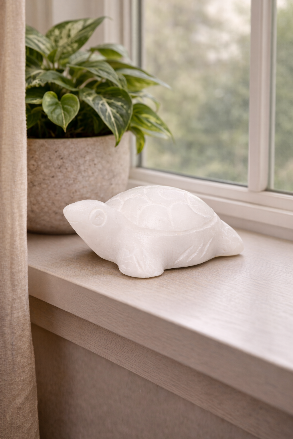 White marble mini turtle ornament placed beside leafy houseplants on wooden shelf