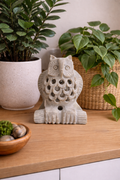 hand carved soapstone owl statue with baby owl inside natural stone owl decor NZ